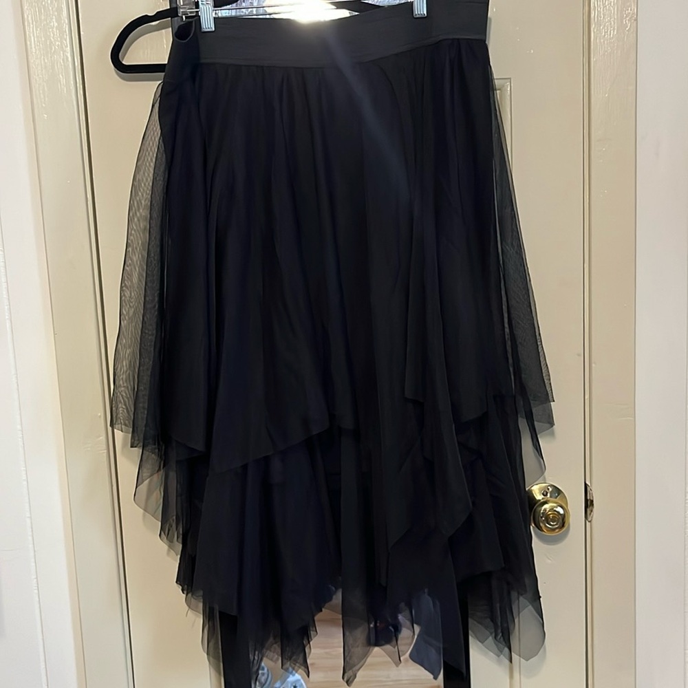 Size 3X Tulle Skirt Elastic Waist Torrid